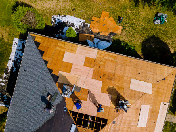 Best Roof Maintenance Services  in Brackenridge, PA