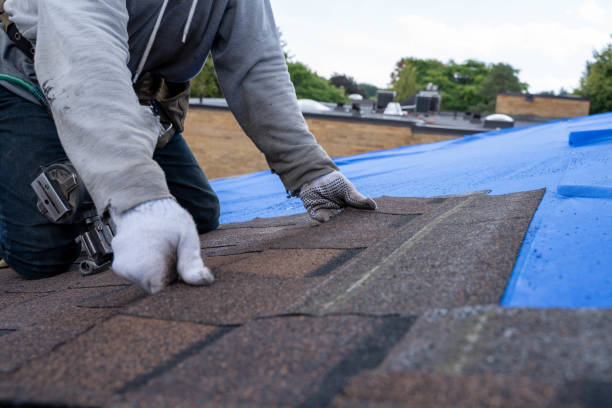 Best Emergency Roof Repair  in Brackenridge, PA