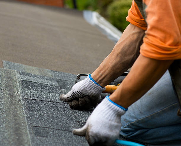 Best Commercial Roofing Services  in Brackenridge, PA