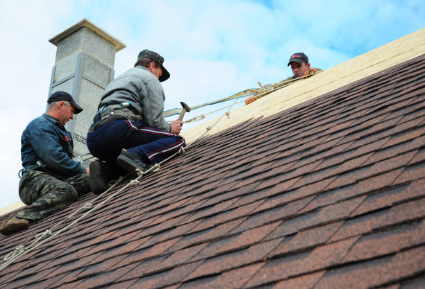 Best Metal Roofing Contractor  in Brackenridge, PA