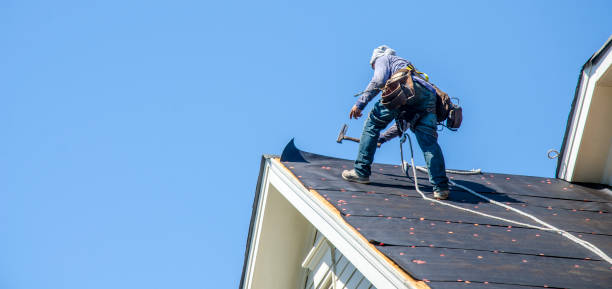 Best Local Roofing Companies  in Brackenridge, PA